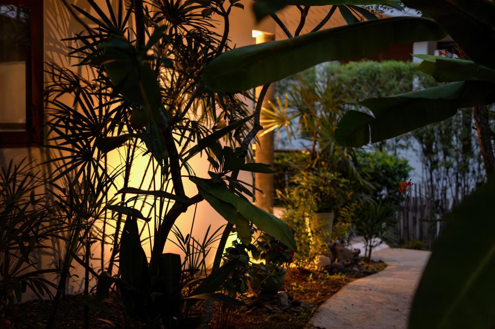 Orchid Lodge Samui - Bed & Breakfast Lamai Beach  Quarto foto